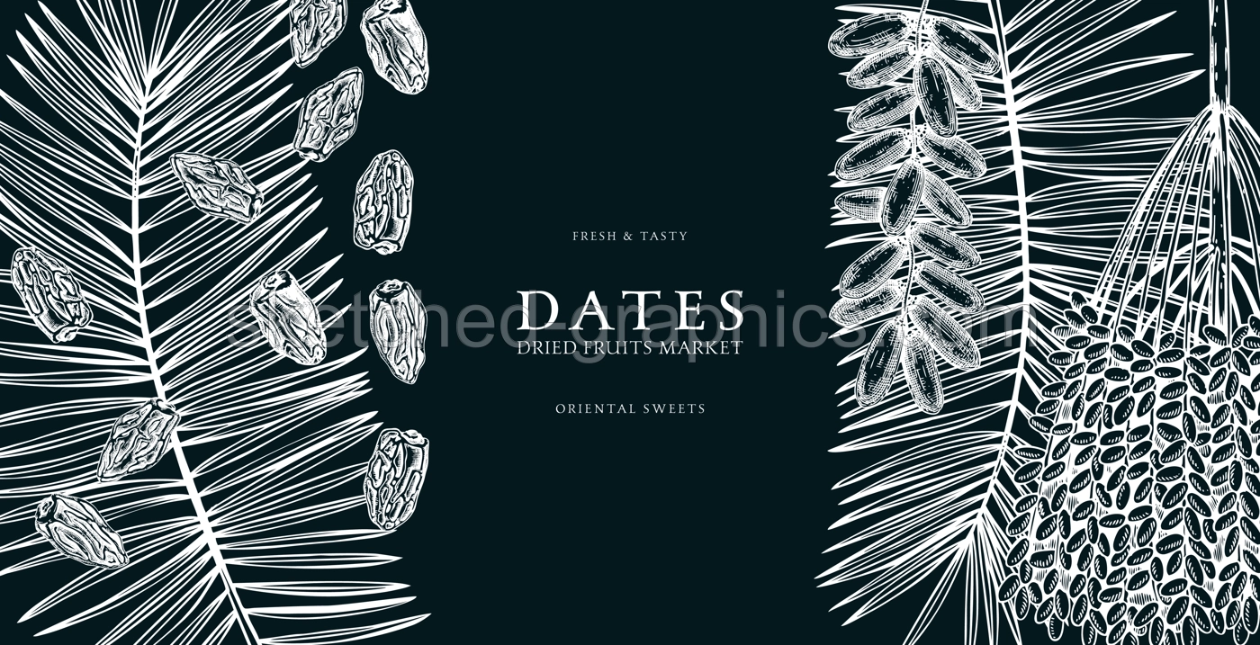Hand drawn border design with date palm leaves and ripe fruit illustrations. Healthy food ingredients sketches isolated on chalkboard. Oriental sweets vector background. Vintage dried dates background Illustration